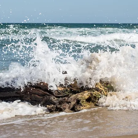 別荘 Kapitaenshaus Mit Sauna Und Kamin ゼリン