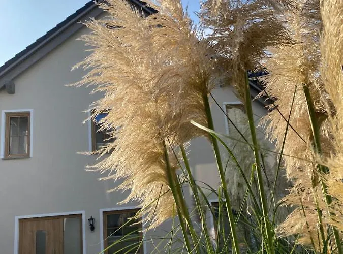 Kapitaenshaus Mit Sauna Und Kamin * Sellin (Rugen)