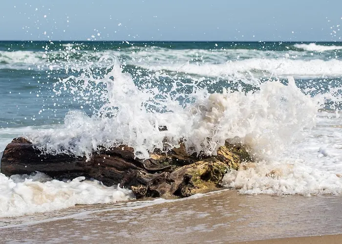 度假居 Kapitaenshaus Mit Sauna Und Kamin Sellin (Rugen)